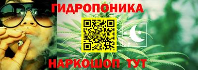 ГАЛЛЮЦИНОГЕННЫЕ ГРИБЫ Малоярославец