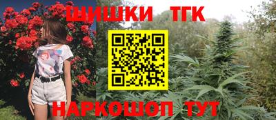 индика Мариинск