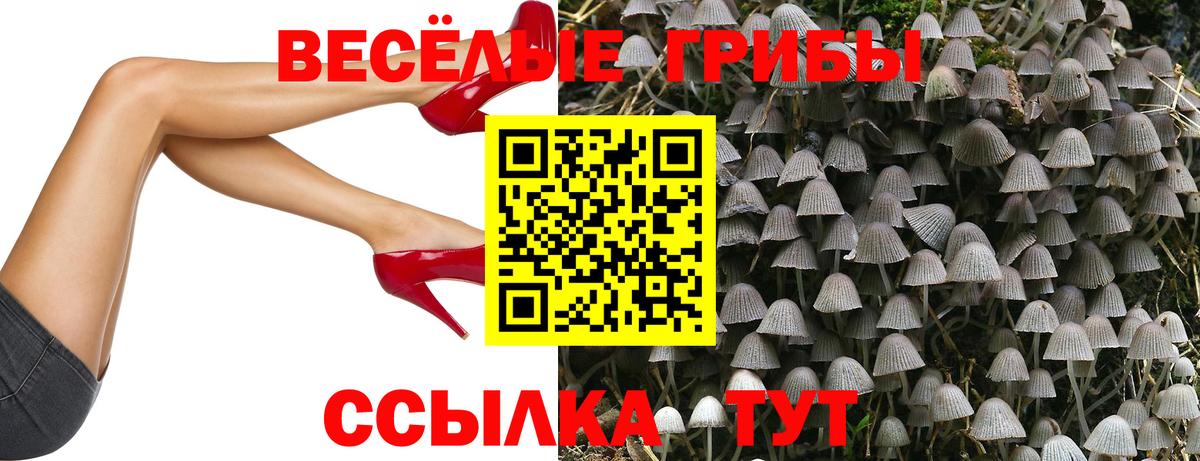 Псилоцибиновые грибы GOLDEN TEACHER Верхняя Салда