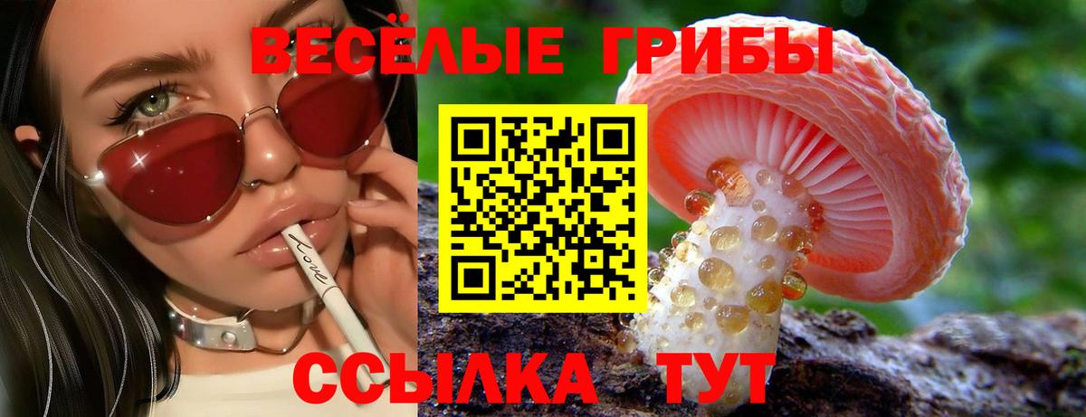 Верхняя Салда  Псилоцибиновые грибы Magic Shrooms  Вход с VPN 